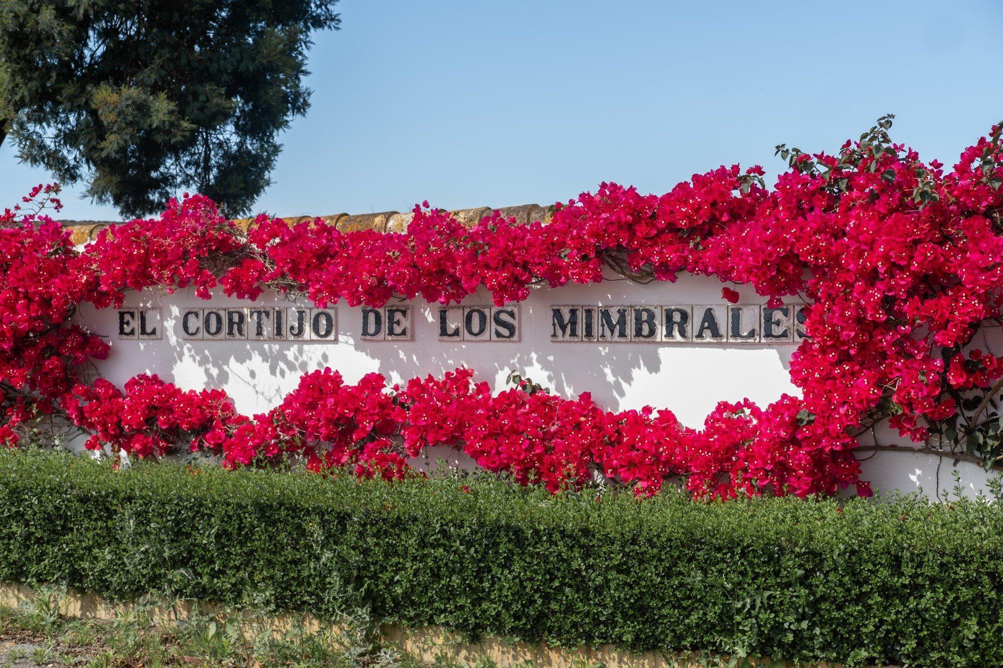 El Cortijo De Los Mimbrales Hotel Almonte Exterior foto