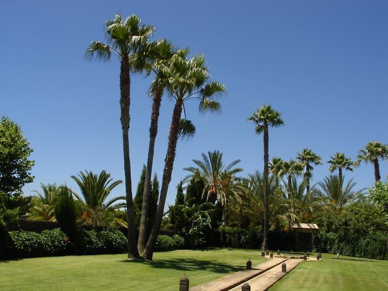 El Cortijo De Los Mimbrales Hotel Almonte Exterior foto